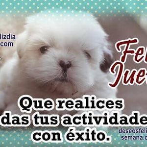 Meet your Posher, Anabell